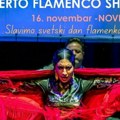 Flamenko Festival u Novom Sadu Gostuje ansambl Puerto Flamenco iz Sevilje (video)