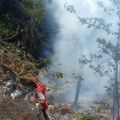 (Foto, video) Srušio se helikopter, poginulo sedmoro turista Tragedija na safariju: Delovi letelice u vatri, ostala samo…