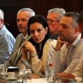Anketni odbor preispituje svoje postojanje na početku sednice, Obradović traži smenu Marinike Tepić