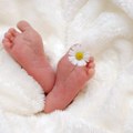 Istraživanje potvrdilo – bebe rođene na ove datume su najuspešnije