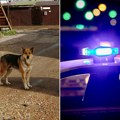 Pas ubijen ispred dve devojčice! Horor u Omoljici, policija traži napadača, meštani uplašeni: "Bilo je već slučajeva"