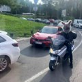 Beogradski vozači jutros nisu skidali pogled sa ove zečice: Bezbednost je na prvom mestu