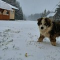 Sneg zabeleo Goliju usred maja (FOTO)