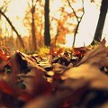 Meteorolozi najavljuju hladno i kišovito