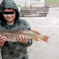 Žandarmerija odjurila u Čenej: Jedan od dečaka povezan sa ubistvom malog Marija se vratio kući, nastao haos!