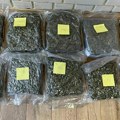 FOTO: U torbi Novosađanina pronađeno više od pet kilograma narkotika, većinom marihuane