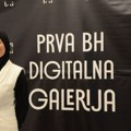 Digitalna galerija, prva u BiH: Most između umjetnika i publike