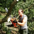 "Gledam svoje kokoške, gajim i svinje i ovce" Srpski glumac sa porodicom pobegao na selo, a ovo je njegova oaza mira "Ovde…