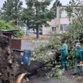 (Foto) ovaj deo Beograda bio je najjače pogođen nevremenom: Orkanski vetar polomio više od 600 stabala, uništavao automobile…
