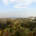 Park Ušće dobija novo drveće: Očuvanje postojećih stabala prioritet