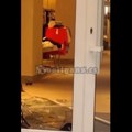 „Vole“ Kosovo, a lome po Beogradu VIDEO