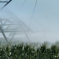 RZS: Za navodnjavanje lane zahvaćeno 17,9 odsto više vode nego 2024. godine