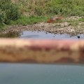 Mladić pao sa brane na Zapadnoj Moravi Spasioci u poslednji čas sprečili tragediju