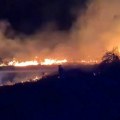 VIDEO Veliki požar u Novom Sadu: Goreo Šodroš, vatrogasci ugasili plamen