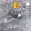 Ukrajinci objavili dosad najjeziviji video: "Ubijeno 250 Rusa, a to su samo oni koje smo uspeli da snimimo!"