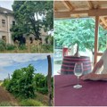 Vinski turizam donosi kovačevom posedu novo ruho Rastu šanse za obnovu čuvenog kaštela u Riđici