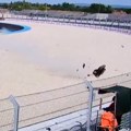 VIDEO Kamerman zamalo izbegao tragediju: Mogao da pogine, vozači besni zbog užasnih uslova na stazi