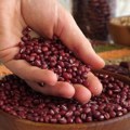 Veliki evropski projekat traga za novim sortama poznatih leguminoza Naučna bitka za pasulj i leblebiju