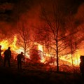 Vatrogasci u borbi sa vatrenom stihijom: Goreo rezervat u dolini Neretve FOTO/VIDEO
