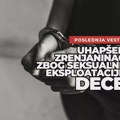 U akciji „Python“, protiv seksualne eksploatacije dece uhapšen i osumnjičeni iz Zrenjanina Seksualna eksploatacija dece