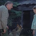 Znate li gde se nalazi kućica iz filma "Ptice koje ne polete"? Skrivena u jednoj od najlepših planina Srbije