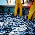 Plava riba umesto crvenog mesa spasla bi 750.000 ljudi godišnje