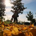 Od sledeće nedelje preokret; Meteorolog otkrio do kad ćemo uživati u lepom vremenu VIDEO