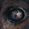 Film „Životinja“ na repertoaru domaćih bioskopa