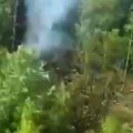 Prvi snimak sa mesta pada aviona u Rusiji: Letelica potpuno izgorela, dim kulja iz šume!