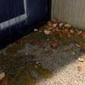 Protest u Nišu zbog pritvora studenta – gađanje jajima prostorija Pokreta za narod i državu