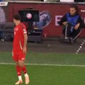 (VIDEO) Nezvani gost na meču u Kardifu