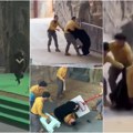 Medved ščepao radnika u zoo vrtu! Nemilosrdna zver nasrnula na svog dresera, gledao smrti u oči! Osoblje hitno priskočilo u…