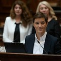 Brnabić na ocene o krađi američkih izbora: Ne samo što imamo dresirane pčele, već i nameštamo izbore