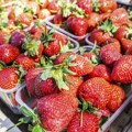 Džaba ste ih prali: Ako u pakovanju jagoda vidite ovo, odmah bacite sve do jedne!