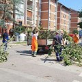 FOTO: "Čistoća" očistila 176 novosadskih ulica od posledica nevremena