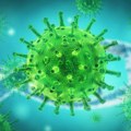 CDC: Antitela stvorena zarazom ili vakcinama dovoljna za zaštitu od novog soja