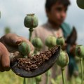 Тако избегавају забрану талибана: Авганистански фармери катапултом пребацују опијум у суседни Иран