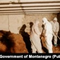Osumnjičeni za kopanje tunela do Višeg suda u Podgorici oslobođen pritvora