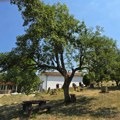 Selo Manastir ima samo jednog stanovnika, a predstavlja pravi raj na samo 17km od Niša