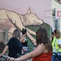 U nedelju vođena tura obilska čačanskih murala u organizaciji DUK festivala