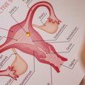 Jajnici posle menopauze možda dobijaju potpuno novu ulogu, pokazuje novo istraživanje