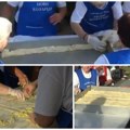 Krompiruša za Ginisa u subotu stiže na „pitijadu“! Kad domaćice u Novim Kozarcima zamese pitu, ona nema kraja