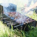 Ne bacajte pepeo posle roštiljanja: Može da preporodi baštu, ali samo ako ga pravilno koristite