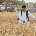 НАЈАВА: 4. јула традиционални 43. по реду „Жетелачки дан“ у Мужљи Жетелачки дан