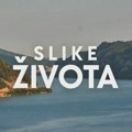 Slike života, nedelja u 15.15h: Vreme početka čoveka i pretka