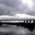 Pomor ribe u Savi kod Zagreba! Poznato šta je izazvalo ovu ekološku katastrofu
