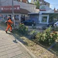 „Mediana“ na više lokacija u Nišu: Uređuju parkove, zelenilo i gradske ulice