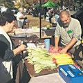 Međunarodni festival u Kanjiži: "Čardaš u čast kukuruza"