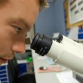 Američka biotehnološka kompanija Dren Bio prikupila 350 miliona dolara za razvoj terapije protiv retkih karcinoma krvi