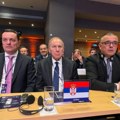 Kongres UEFA u Parizu - Delegacija FSS na čelu sa predsednikom Džajićem (foto, video)